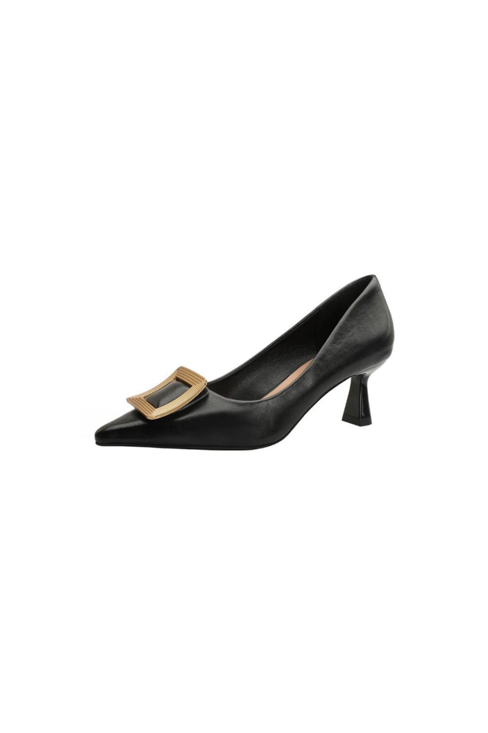 Point Toe Flare Heel Pumps