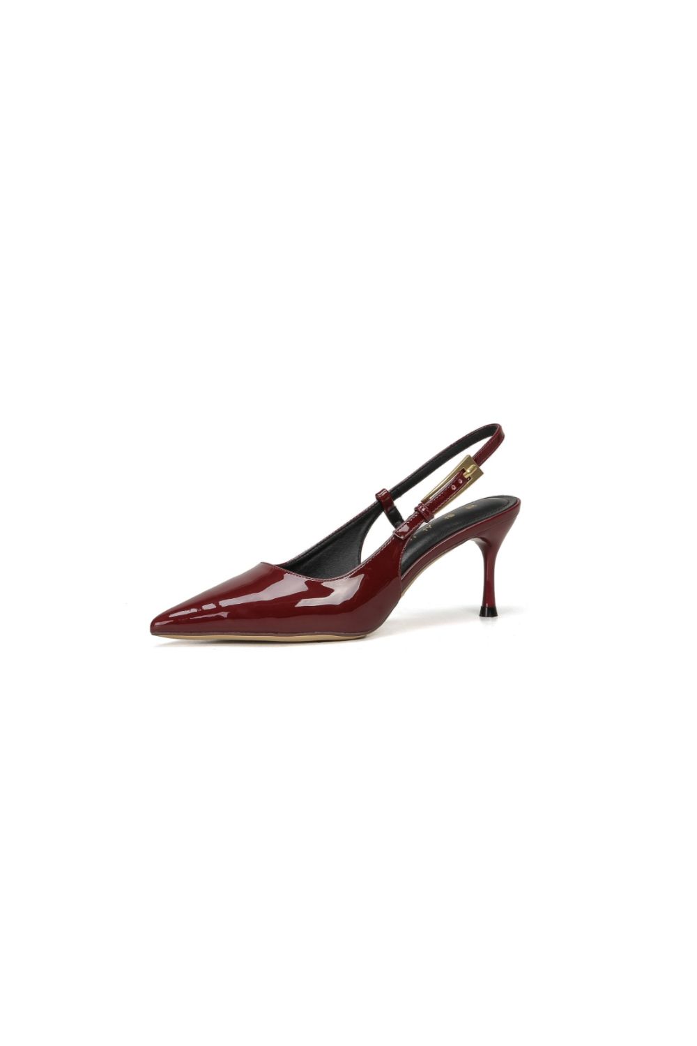 Point Toe Flare Heel Slingback Pumps