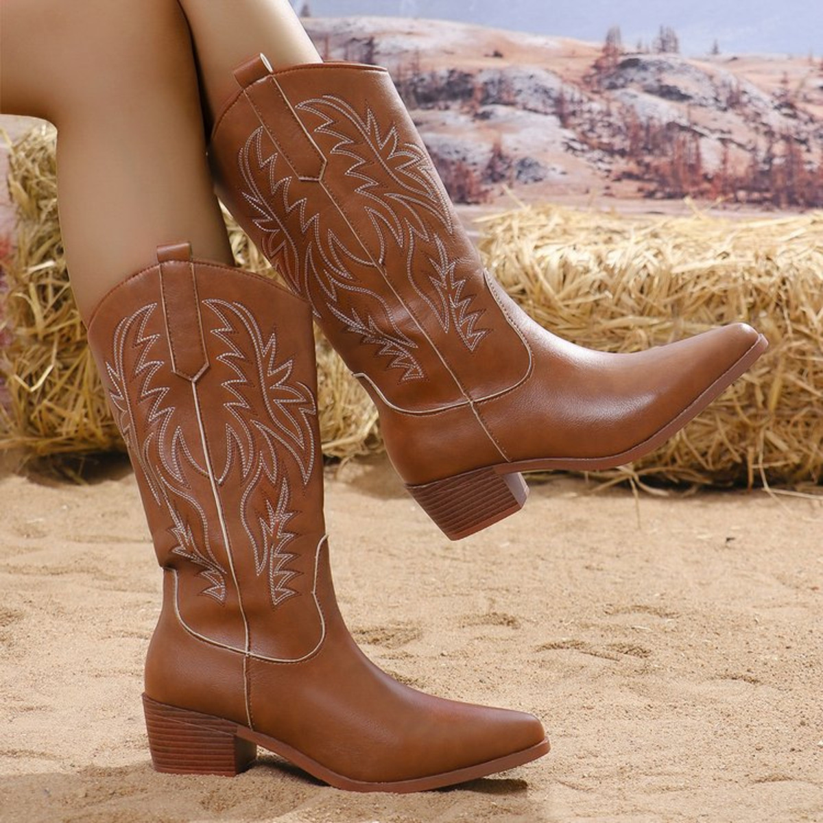 Embroidered Point Toe Block Heels Boots