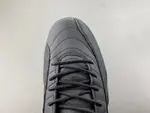 Air Jordan 12 “Bloodline CT8013-003