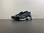 Air Max Plus TN DM0032-003