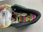 Nike Dunk Low “What The Ducks Of A Feather” HV1454-100