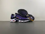 Nike Air Max Plus OG 'Voltage Purple' 2024 DX0755-500