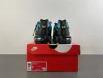 Nike Air Max Plus 'Black Dusty Cactus' dm0032-016