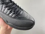 AIR JORDAN 12 CT8013-010