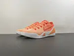 Elite Low EM Protro“WNBA im6119-800
