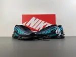 Nike Air Max Plus 'Black Dusty Cactus' dm0032-016