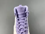 Air Jordan 10 IQ0388- 101
