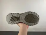 Christian Dior running shoes, brown and orange.