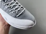 Air Jordan 12 STEALTH CT8013-015