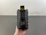 Air Jordan 12 Black Taxi  CT8013-071