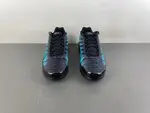 Nike Air Max Plus 'Black Dusty Cactus' dm0032-016