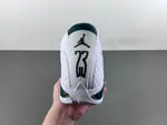 Air Jordan 14 Retro 'Forest'  311832-131