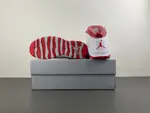 Air Jordan 10 Retro 'Red Steel' 2005 310805-161