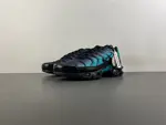 Nike Air Max Plus 'Black Dusty Cactus' dm0032-016