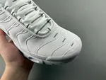 WMNS Air Max Plus“' TN DM2362-100