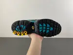 Nike Air Max Plus 'Black Dusty Cactus' dm0032-016