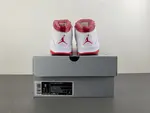 Air Jordan 10 Retro 'Red Steel' 2005 310805-161