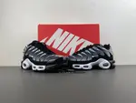 Air Max Plus TN DM0032-003