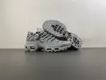 Nike Air Max Plus TN 'Wolf Grey TN 852630-021