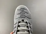 Nike Air Max Plus TN 'Wolf Grey TN 852630-021