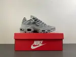 Nike Air Max Plus TN 'Wolf Grey TN 852630-021