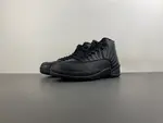 AIR JORDAN 12 CT8013-010
