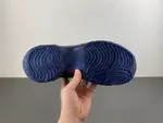 Nike Air Flightposite I “Eggplant”  HJ4481-900