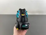 Nike Air Max Plus 'Black Dusty Cactus' dm0032-016