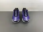Nike Air Max Plus OG 'Voltage Purple' 2024 DX0755-500
