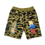 BAPE Shark Shorts
