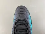 Nike Air Max Plus 'Black Dusty Cactus' dm0032-016