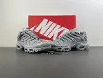 Nike Air Max Plus TN 'Wolf Grey TN 852630-021