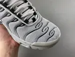 Nike Air Max Plus TN 'Wolf Grey TN 852630-021