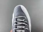 Air Jordan 12 STEALTH CT8013-015