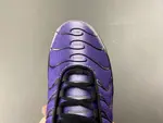 Nike Air Max Plus OG 'Voltage Purple' 2024 DX0755-500