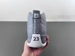 Air Jordan 12 STEALTH CT8013-015