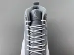 Air Jordan 12 STEALTH CT8013-015