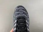 Air Max Plus TN DM0032-003