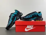 Nike Air Max Plus 'Black Dusty Cactus' dm0032-016