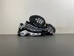 Air Max Plus TN DM0032-003