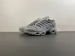 Nike Air Max Plus TN 'Wolf Grey TN 852630-021