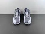 Air Jordan 12 STEALTH CT8013-015
