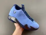 Air Jordan 14 PE “ IF5015-407
