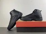AIR JORDAN 12 CT8013-010