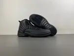 AIR JORDAN 12 CT8013-010