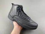 AIR JORDAN 12 CT8013-010