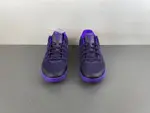 Nike Kobe 9 EM Protro “Purple Dynasty” IH1401-500