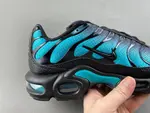 Nike Air Max Plus 'Black Dusty Cactus' dm0032-016