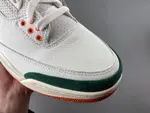 Air Jordan 3 IF4491-100